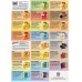 Brick Road Brochures - bundle of 50  (limit 1x bundle)
